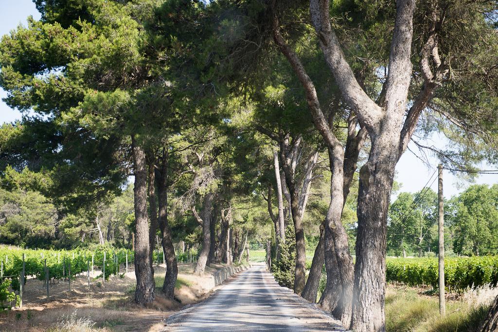 Chateau Canet Villa Rustiques Buitenkant foto