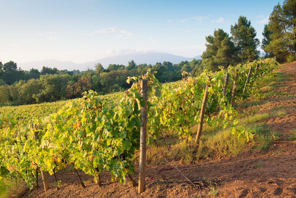 Chateau Canet Villa Rustiques Buitenkant foto