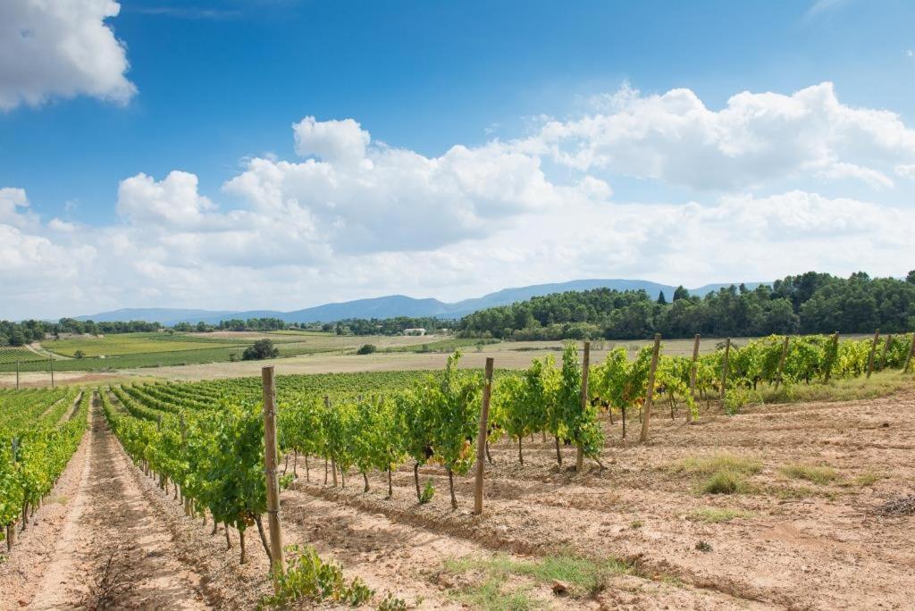 Chateau Canet Villa Rustiques Buitenkant foto